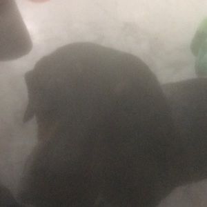 Meet your Posher, Cassandra